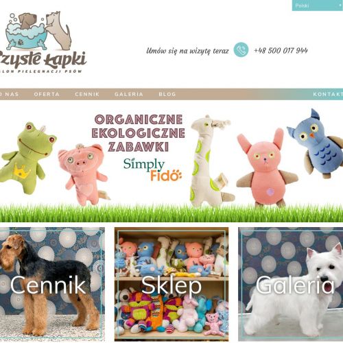 Strzyżenie pudla Warszawa