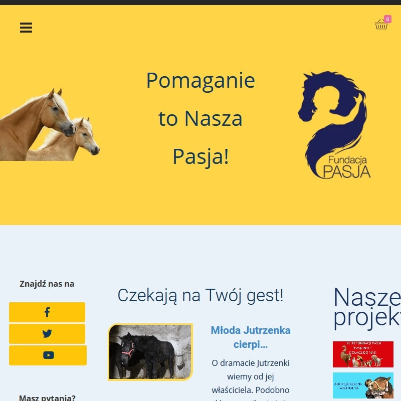 Adopcja psów
