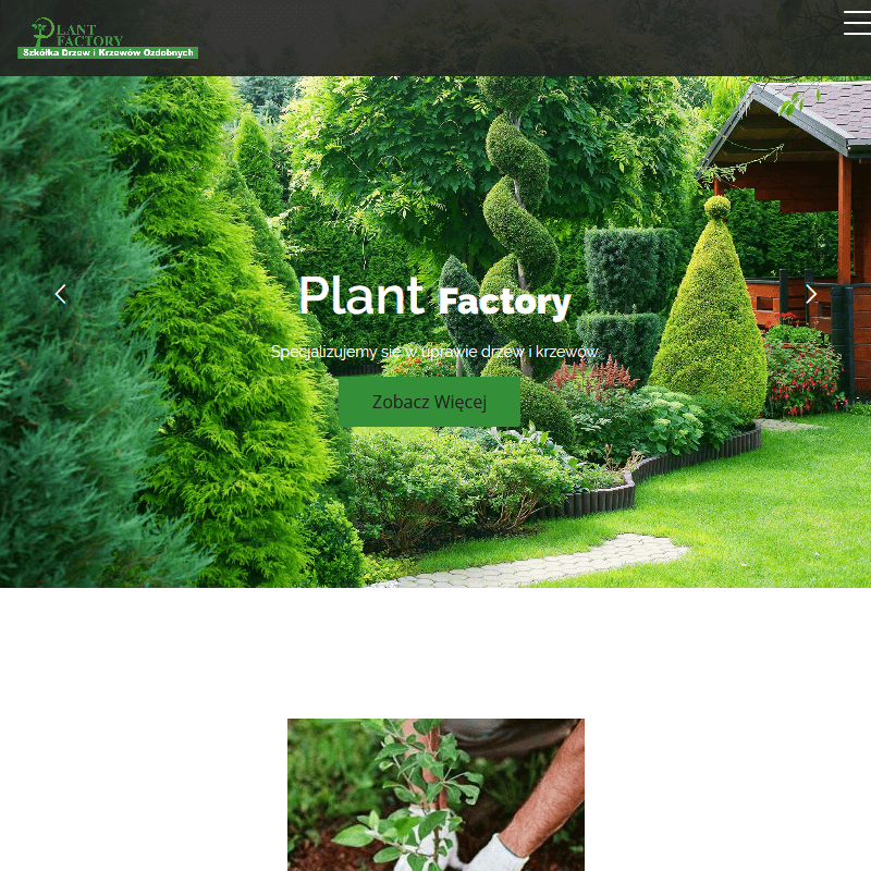 Krzewy z gruntu w Grójcu