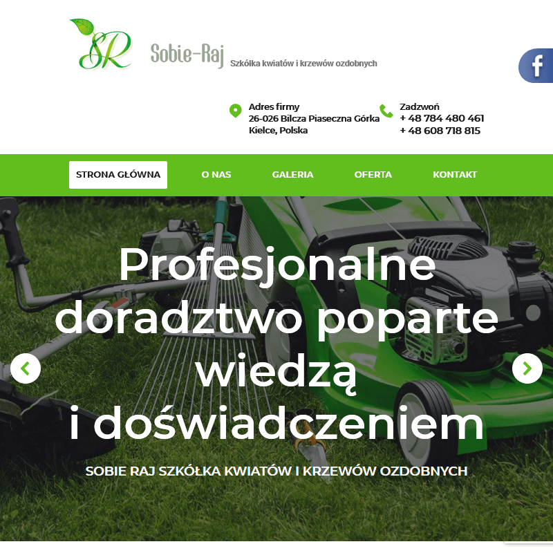 Krzewy ozdobne Kielce