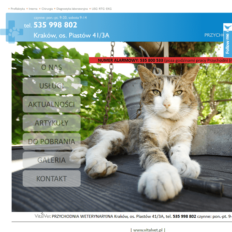 Wieliczka - strzyżenie kotów